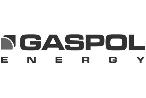 partner - Gaspol